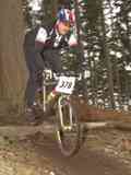 Rider 378